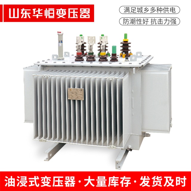 S13-10000/35伊州伊州伊州电力变压器